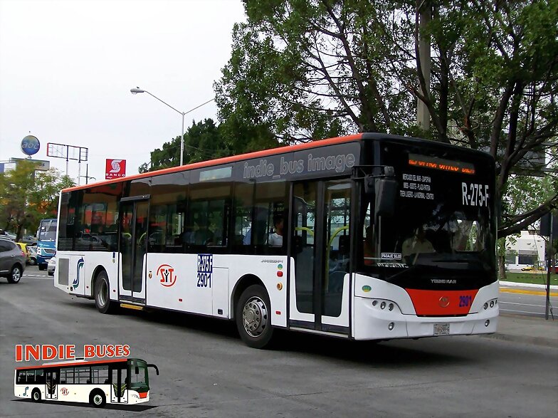 SyT 2901 R-275-F YOUNGMAN JNP6120GHP-1