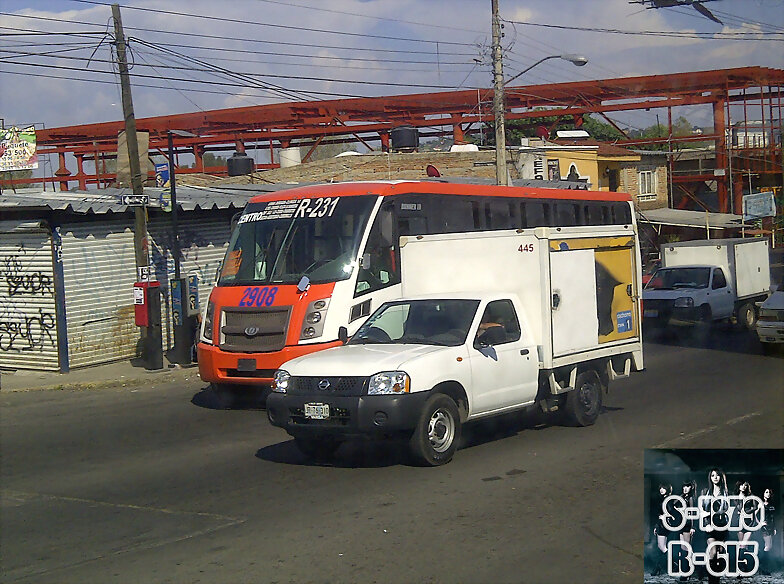 Dina Runner SYT R 231 Tonala - Coronilla