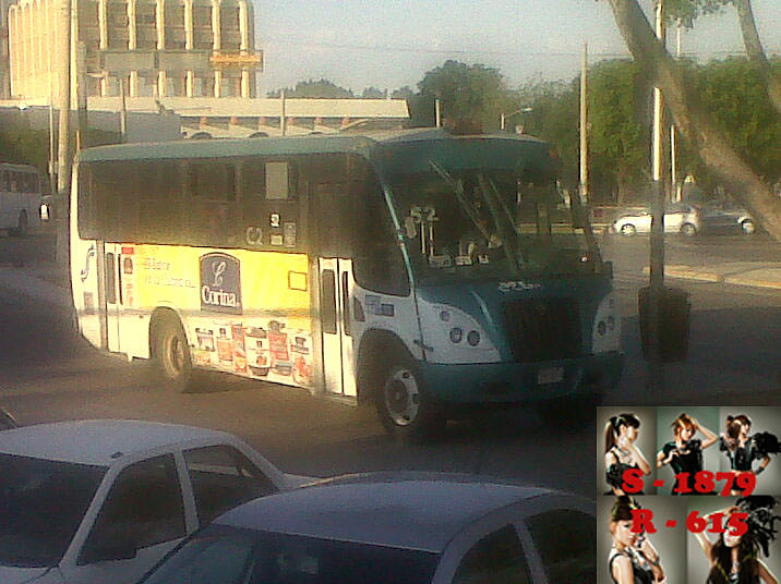 Urbus International R 52 Buho Nocturno C2