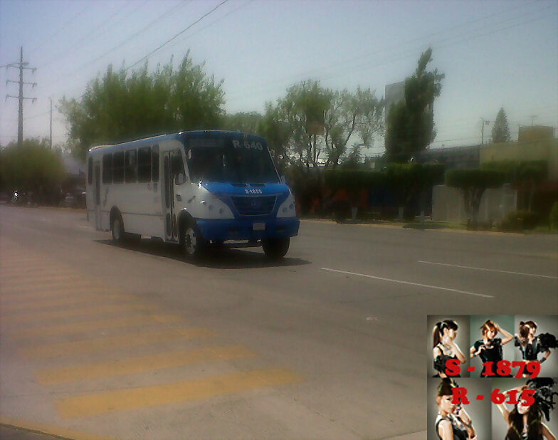 Magno Sport R 640