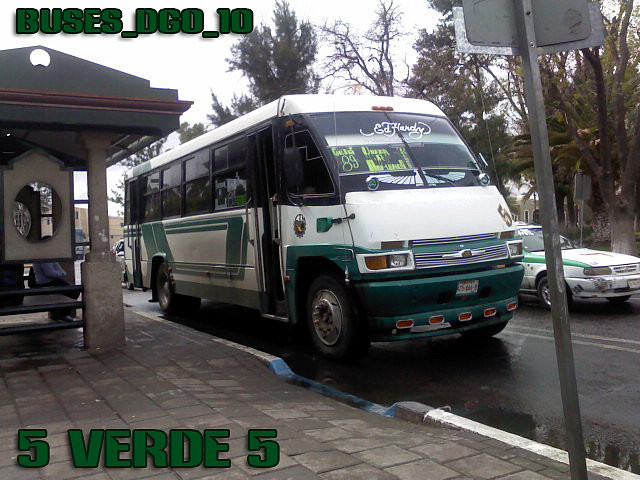 5 VERDE 5