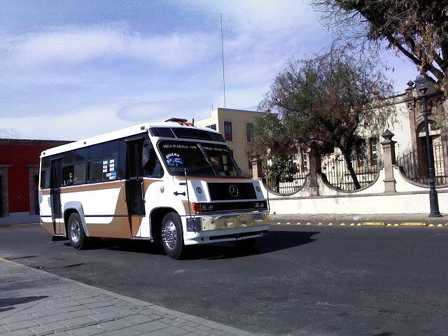 16 DORADO 16