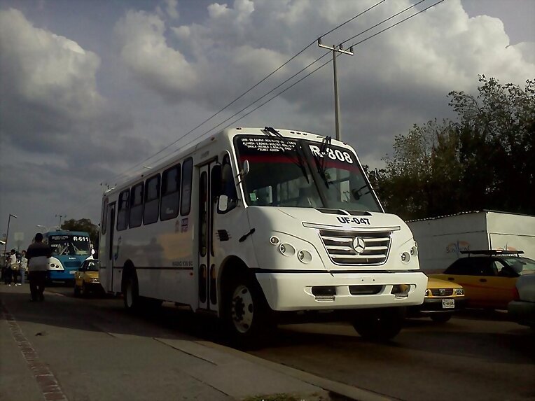 magno sport mercedes benz R 808