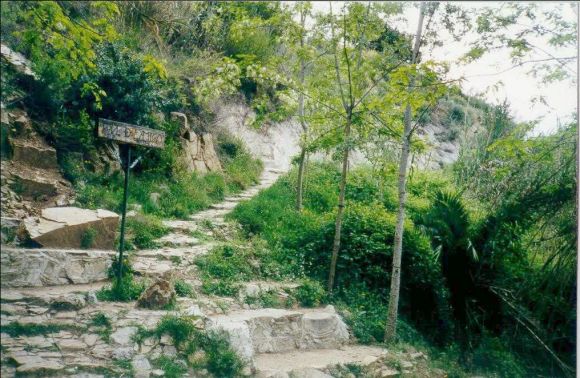 Font de L´Amigo