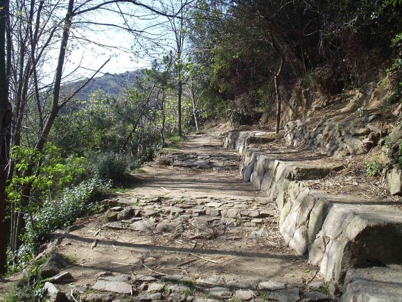 Font de L´Amigó, cami cap a la pista