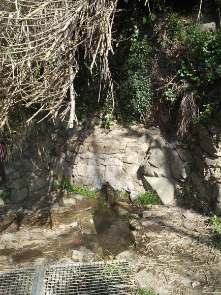 Font de L´Amigó