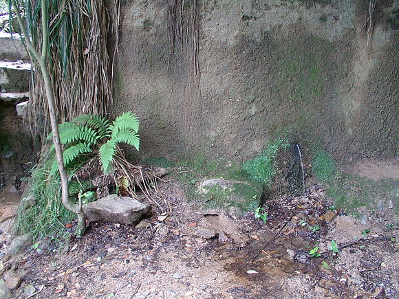 Font del Corró