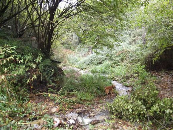 Torrent de l´Hort de les Monges
