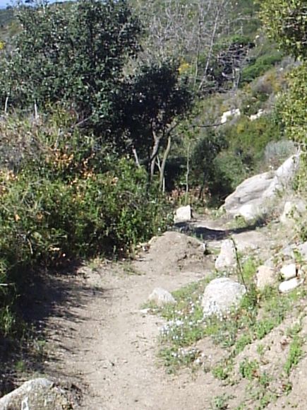 cami de la Conreria a Can Ruti