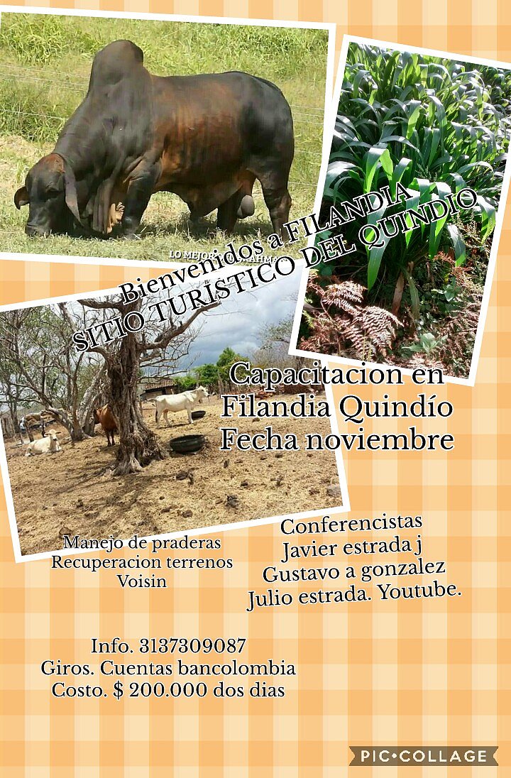 CAPACITACION EN MANEJO DE PASTURAS