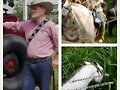 TALLERES PARA GANADEROS DEL LLANO