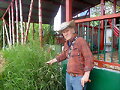 TALLER SOBRE PASTOREO GANADERO