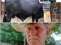 GANADERIA COLOMBIANA