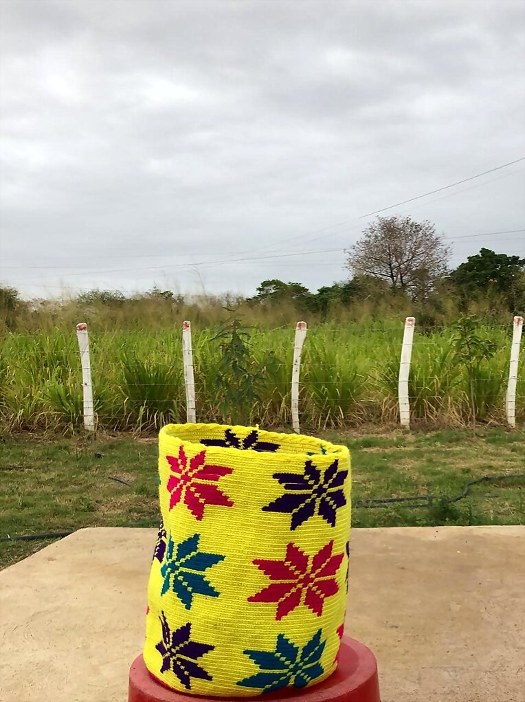 WAYUU