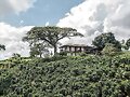 TURISMO Y CULTURA COLOMBIA