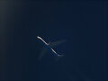 Airbus A330-200 Air Caraibes