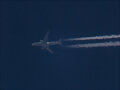 Airbus A330-200 AliTalia