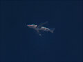 Boeing B747 Cargo Freighter