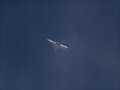 Boeing B767-300ER Blue Panorama Airlines
