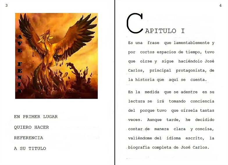 COMO EL AVE FENIX  CAPITULO I