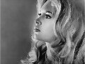 BRIGITE BARDOT