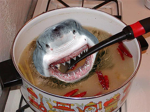 Sopa de aleta de tiburon