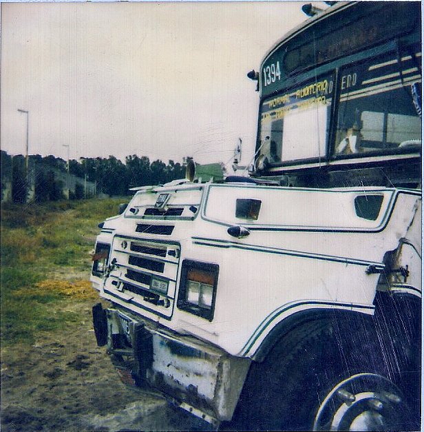 Dina Alianza No. 1394