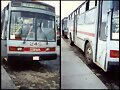 Dina Capre No.245