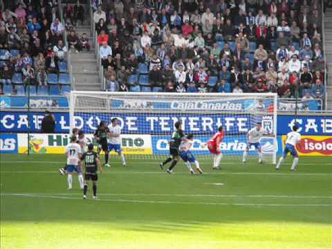 Tenerife - Elche (Resumen) (15-2-2009)