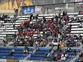 Tenerife - Cordoba (3) (29-3-2009)