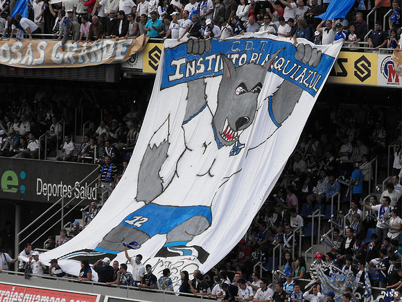 Tenerife 2 - Las Palmas 0 (16) (25-4-2009)