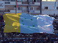 Tenerife 3 - Alav&eacute;s 0 (6) (24-5-2009)