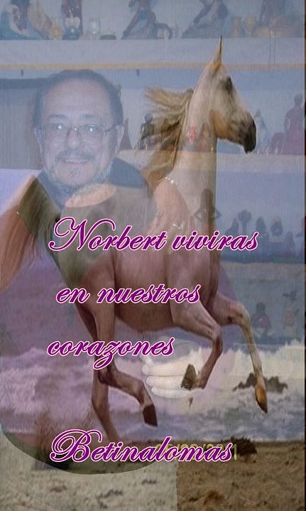 murio nuestro amigo el loco nor mi homenaje