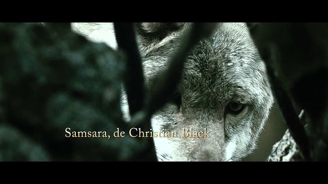 Samsara, de Christian Black