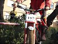 SIEMPRE ES FAVORITO. J. ESCORIHUELA, 2&ordm; EN VET. C