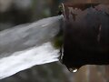 fuente de vida