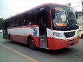 Dina Picker 275 Diagonal
