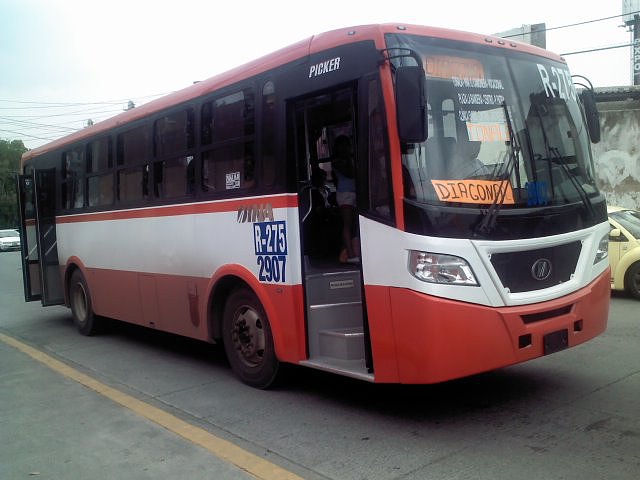 Dina Picker 275 Diagonal