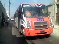 Dina Runner 231