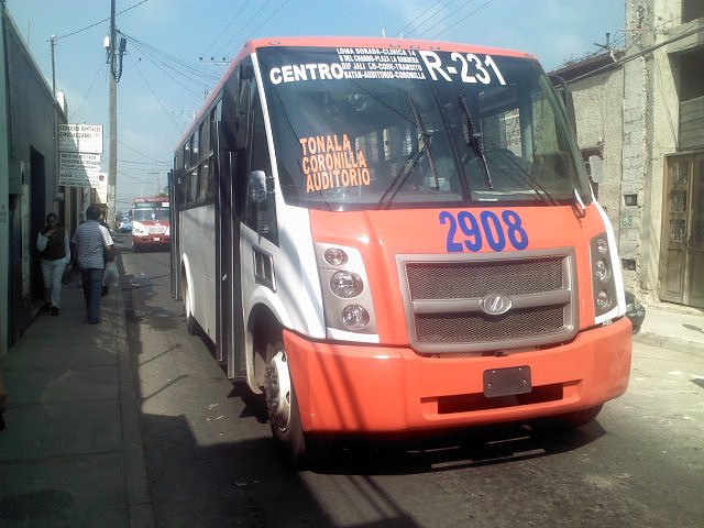 Dina Runner 231