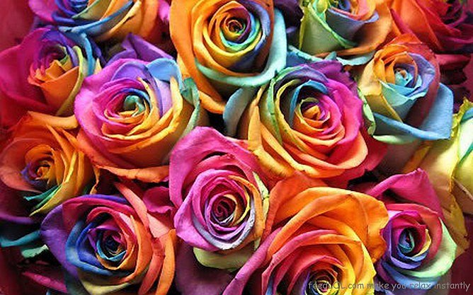 colorama