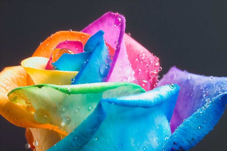 colorama