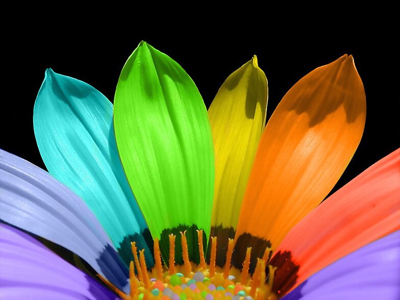 colorama