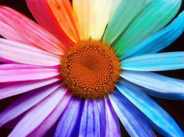 colorama