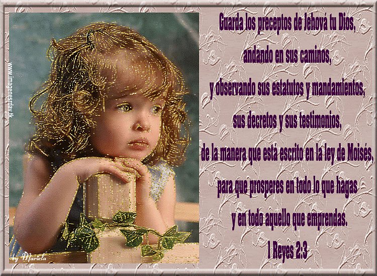 1 reyes 2.3