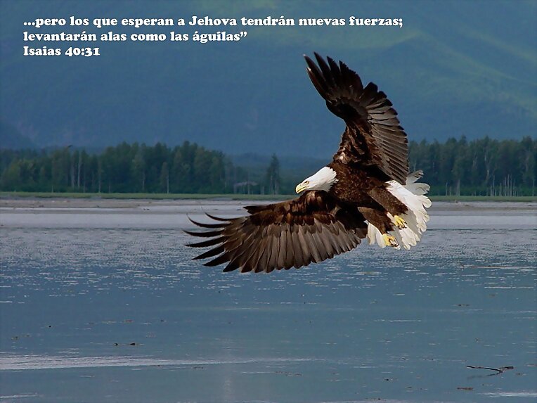 EL AMOR ES TODO( generacion 12)