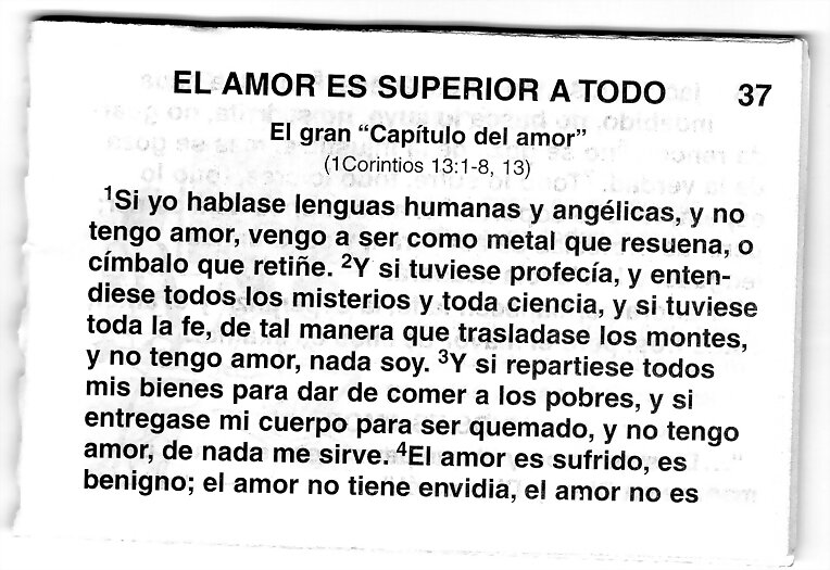 EL AMOR  ES  LINDO