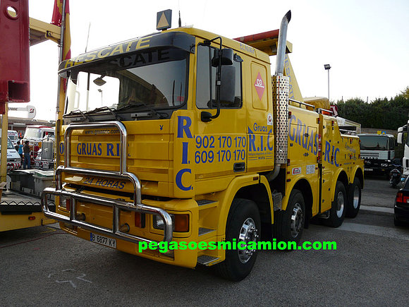 pegasoesmicamion pegaso troner gruas ric