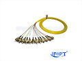 FC/PC 12 core Fiber optic pigtail