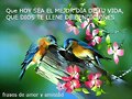 TU ERES TODO PARA MI .